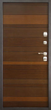 Дверь Порошок №51