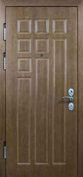 Дверь Порошок №24